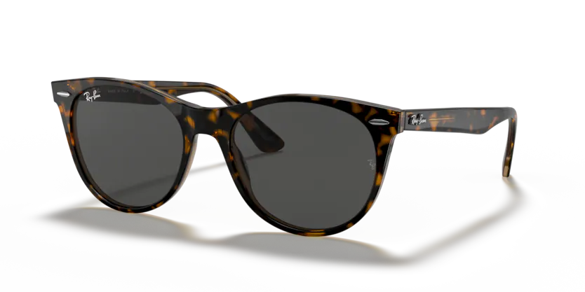 Ray-Ban RB 2185