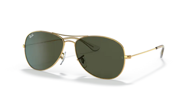 Ray-Ban RB 3362