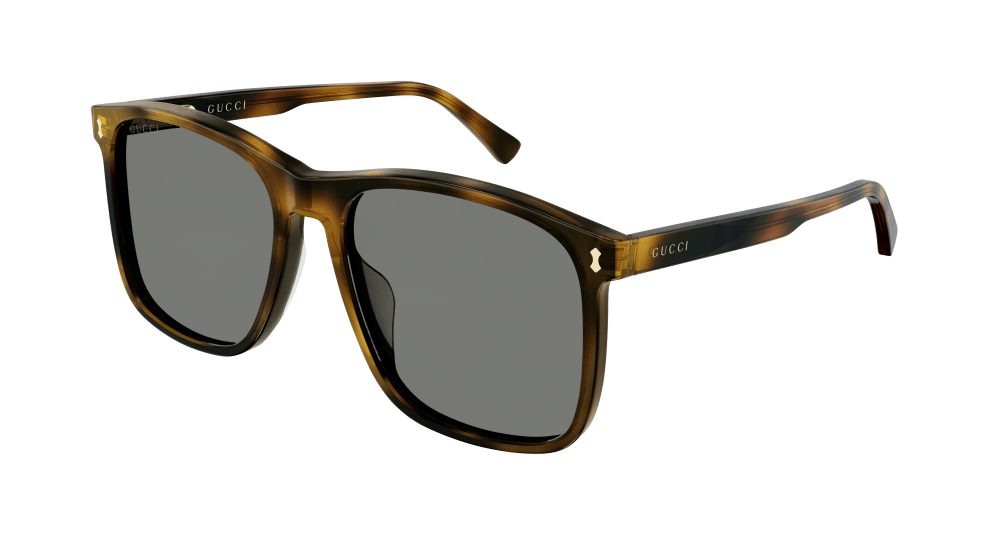 Gucci GG 1041S Sunglasses Frame