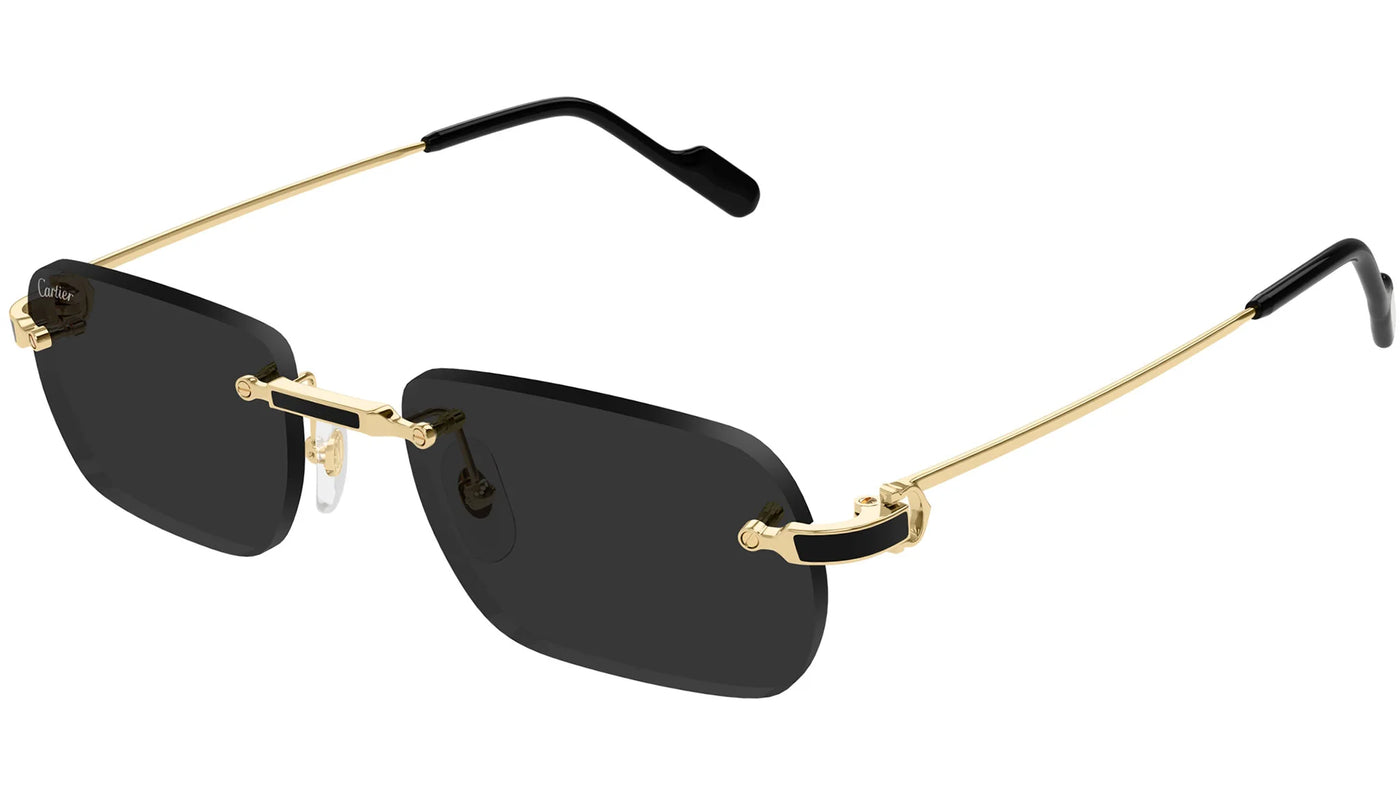 Cartier CT 0498S