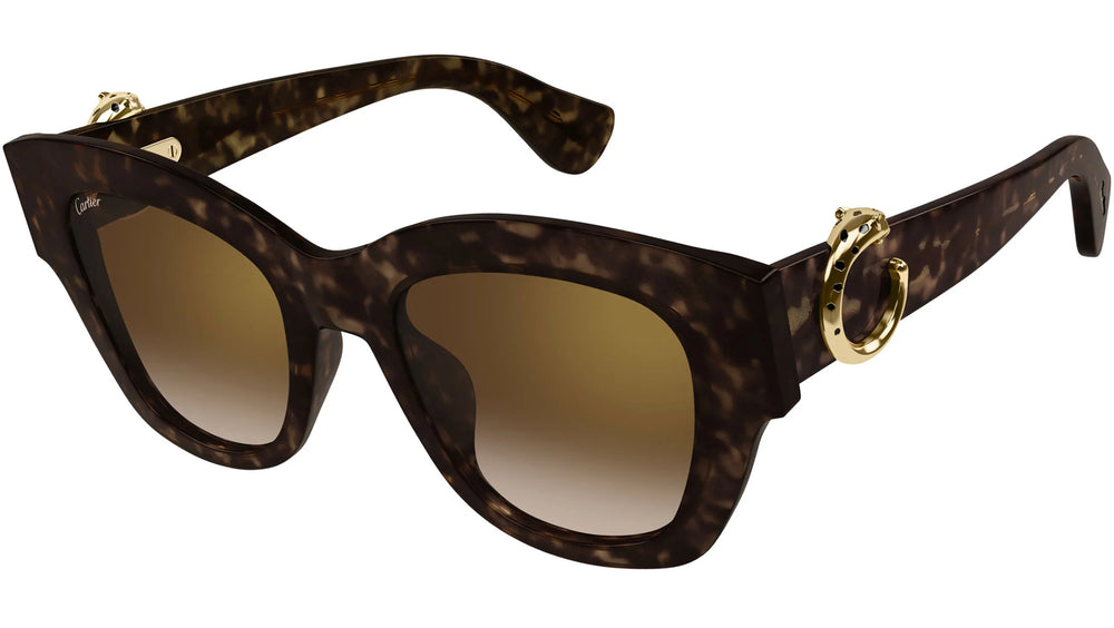 CARTIER ハンテル スクエア フレム サンクラス CT0502S 004 CARTIER ハンテル スクエア フレム サンクラス CT0502S 004