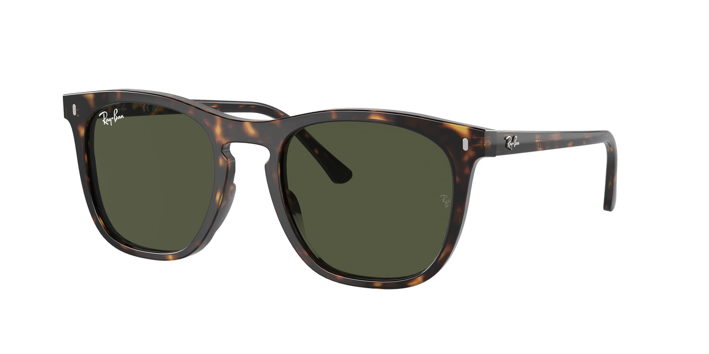 Ray-Ban RB 2210F