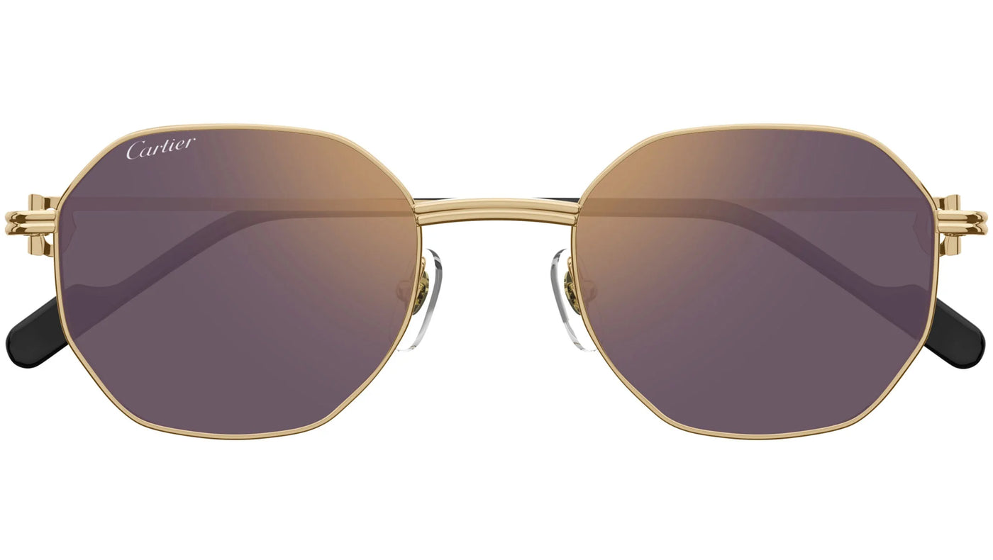 Cartier CT 0500S