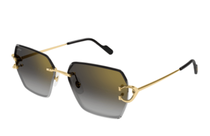 Cartier CT 0466S