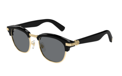 Cartier CT 0496S