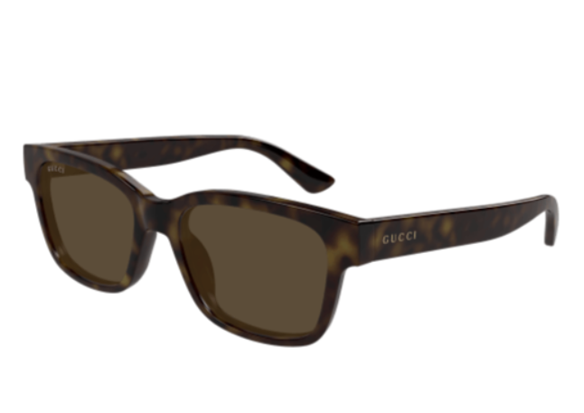 Gucci GG 1716S