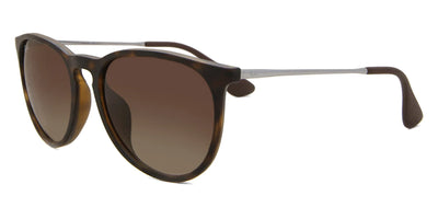 Ray-Ban RB 4171F