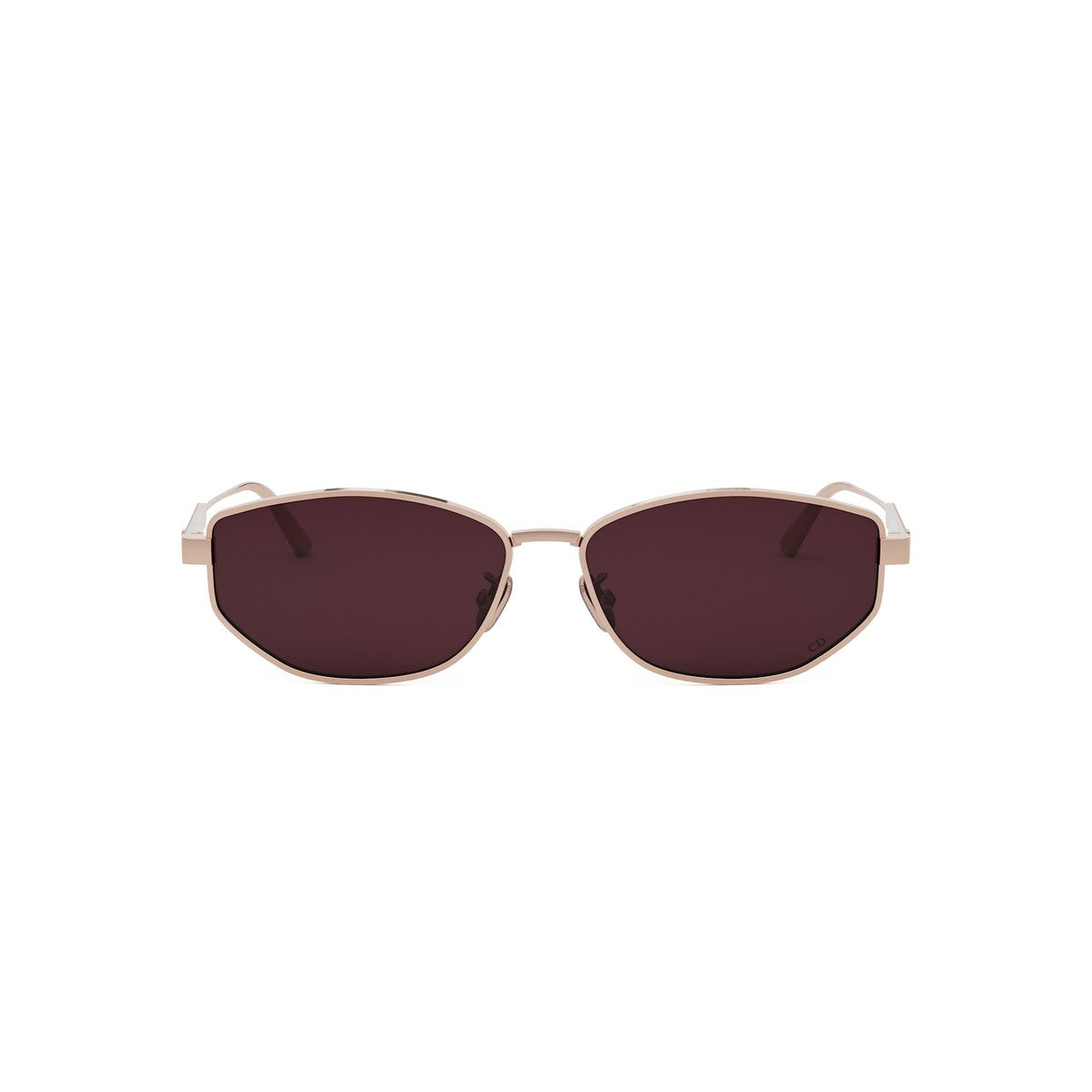 Dior DIORCANNAGE B1U