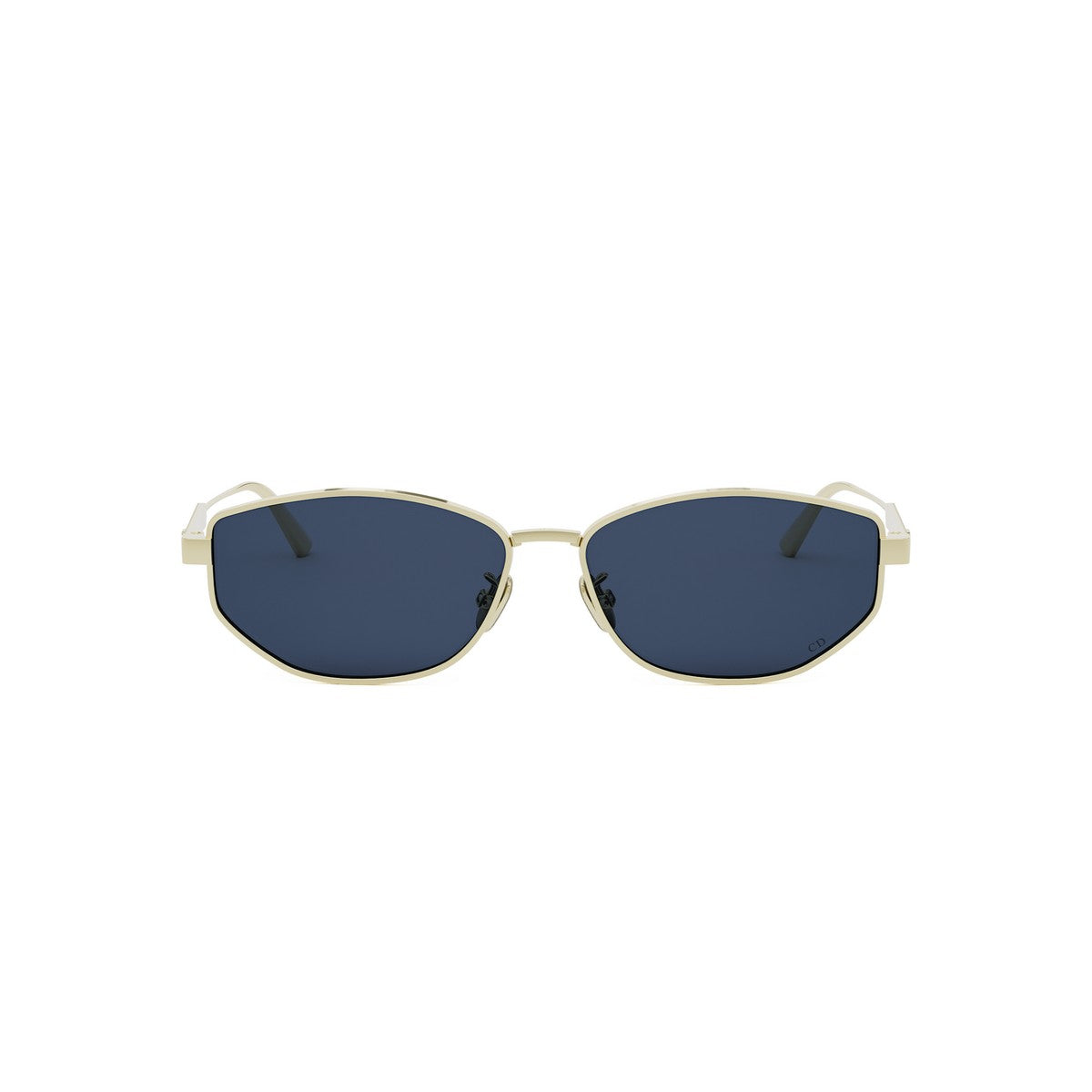 Dior DIORCANNAGE B1U
