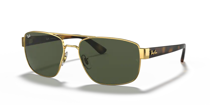 Ray-Ban RB 3663