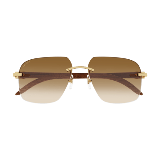 Cartier CT 0041RS - NV