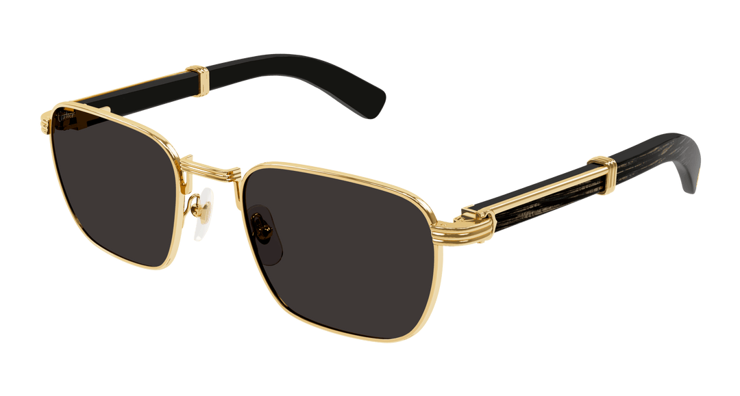 Cartier CT 0363S-NV | Mott Optical Group