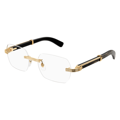 Cartier Mott Optical Group