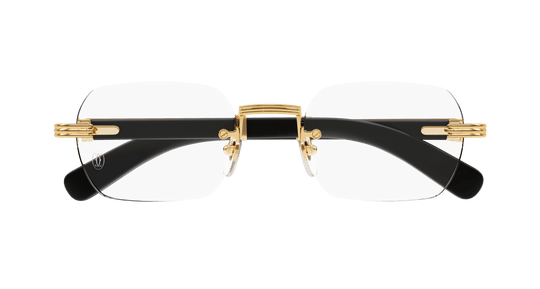 Cartier CT 0377O-NV | Mott Optical Group
